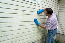 Best Vinyl Siding Installation  in Port Oconnor, TX